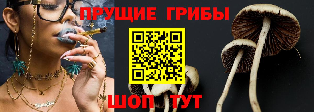 где можно купить   Вход с VPN  Аша  Галлюциногенные грибы GOLDEN TEACHER 